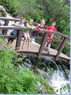 Cascade springs (7)