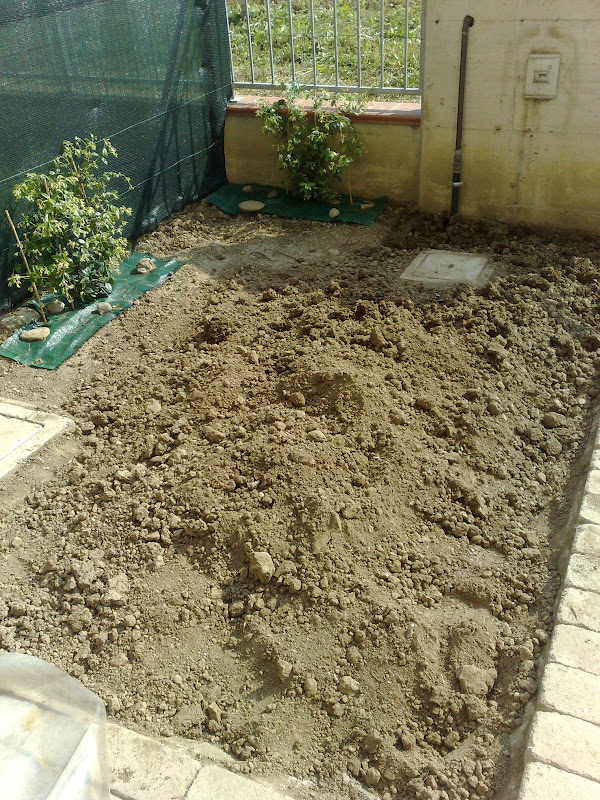 27042008176.jpg