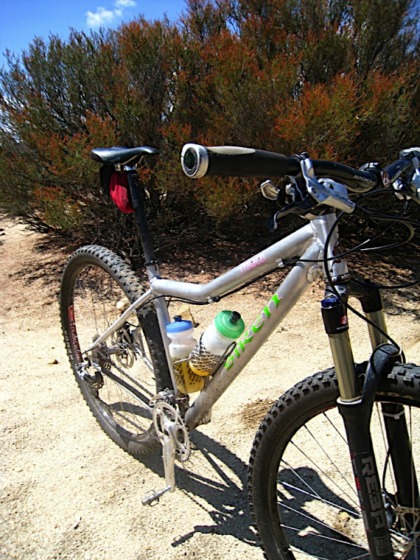 Trauco V2.0 Trauco v2.0