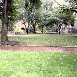 9/11 Rememberance at the University of Pennsylvania's College Green 9/11 Rememberance at the University of Pennsylvania's College Green