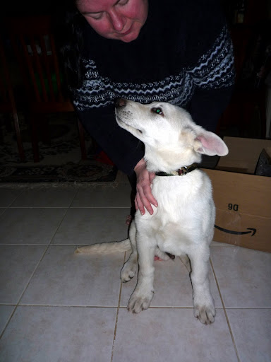 Huaka
