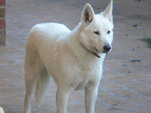 Freyja