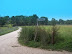 BOSCHINA
