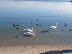 ABITANTI DEL LAGO