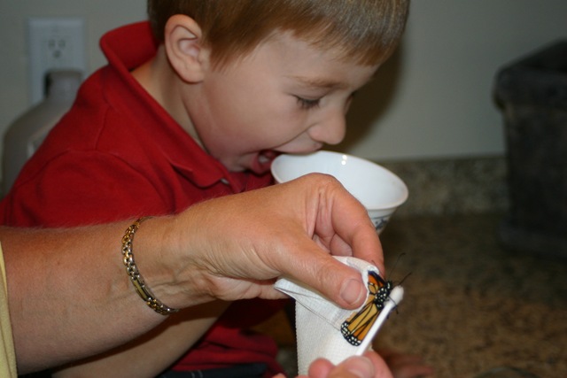 [080917Backpack&Butterfly 078[6].jpg]