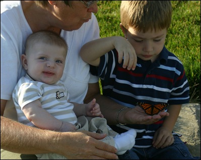 080918Butterfly Go 032