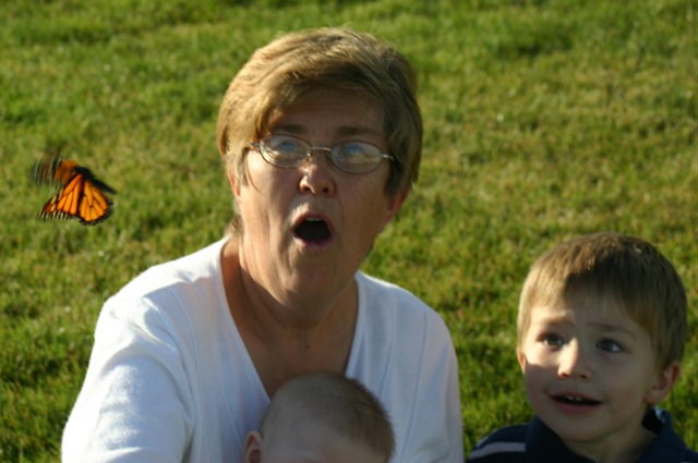 [080918Butterfly Go 039[5].jpg]