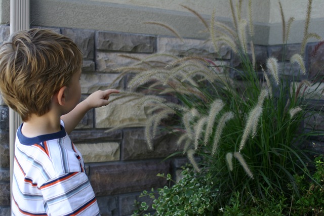 [080809 Boys in the Yard 071[3].jpg]