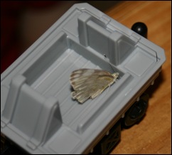 080727 4th Parade 089