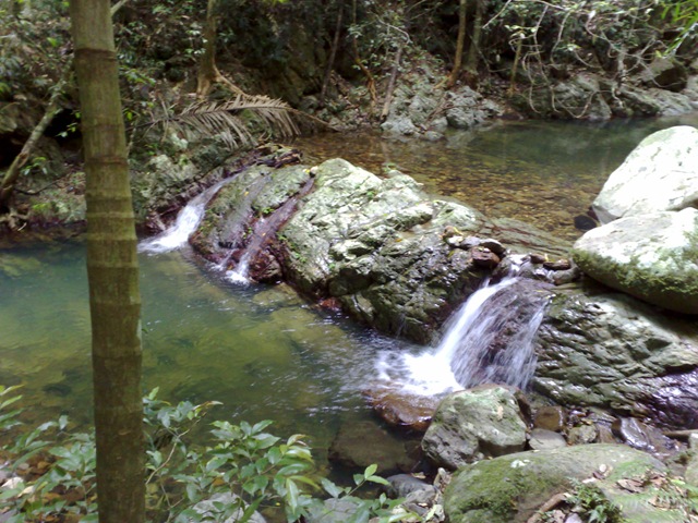 [02042008760[2].jpg]