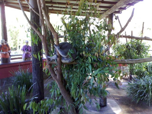 [03042008833[2].jpg]