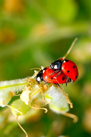 http://lh6.ggpht.com/misterchelles77/SOHrNiX-WNI/AAAAAAAAAic/9lXcFmr8CCg/Essais%20D5D%20586.jpg
