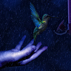 by Glen Unsworth - Digital Art Things