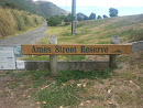 Ames Street Reserve