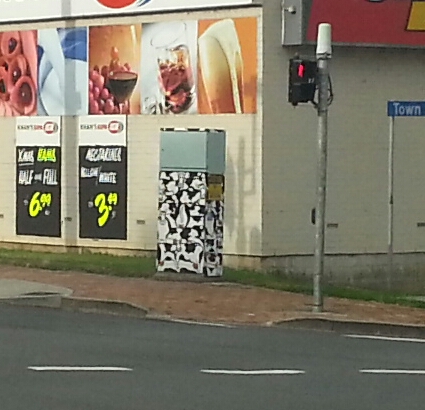 Princes Highway Painted Box