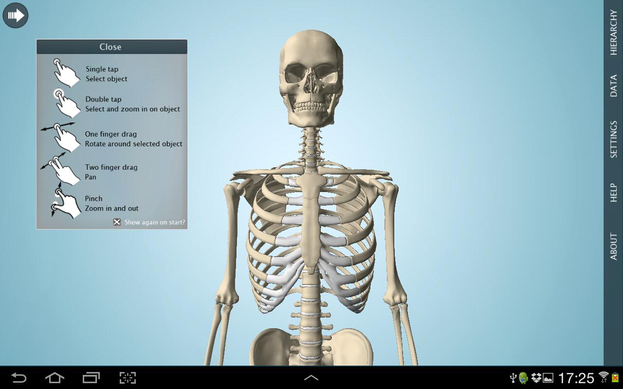Android application Anatomy 3D Pro - Anatronica screenshort