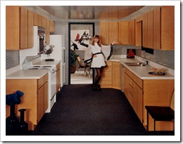 1960 kitchen