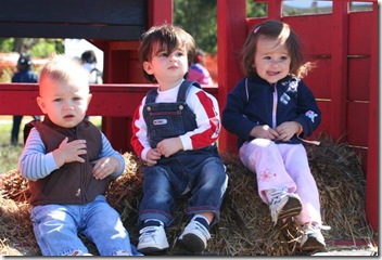IMG_8627 (Medium)