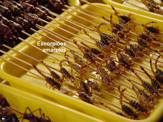 [Lanchinho6escorpiesamarelos4.jpg]