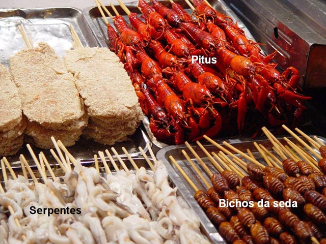 [Lanchinho1BichosdaSeda8.jpg]
