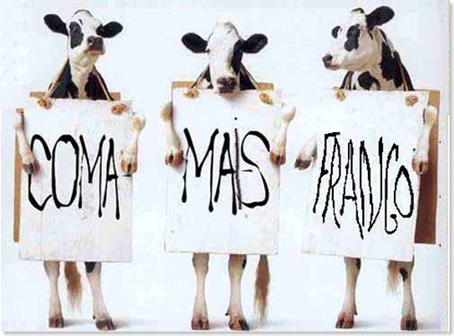 animais protesto de vacas
