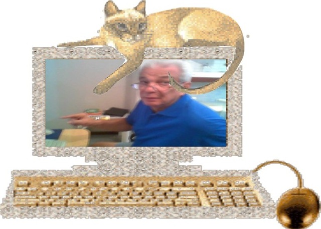 [gatos[5].jpg]