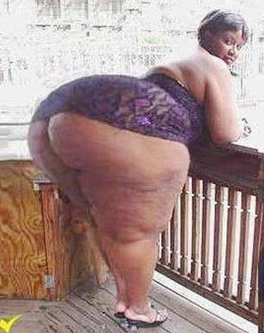 [mozartgordinha4.jpg]