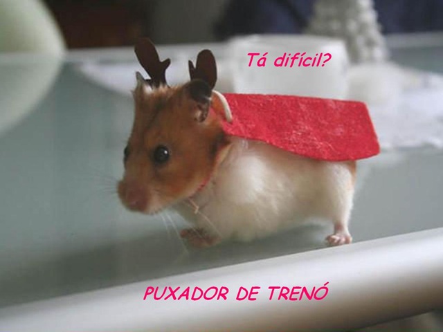 [profissoes83.jpg]
