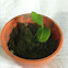 Lemon Tree