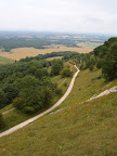 walk_29_am_side_of_downs.jpg.JPG 