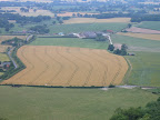 walk_29_am_view_of_field_from_ridge.jpg.JPG 