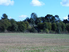 field_and_railway_bridge.JPG 