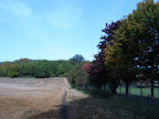 S4300436.JPG 