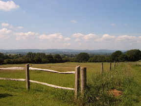 S4302061.JPG Field with wooden fence