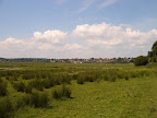 S4302075.JPG Amberley Wetlands 4