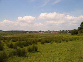 S4302075.JPG Amberley Wetlands 4