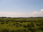 S4302076.JPG Amberley Wetlands 5
