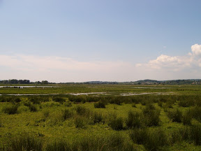 S4302076.JPG Amberley Wetlands 5
