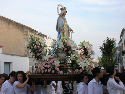 La Virgen Milagrosa portada por jóvenes durante el recorrido procesional por su barriada el pasado año 2007. Foto: Pozoblanco News