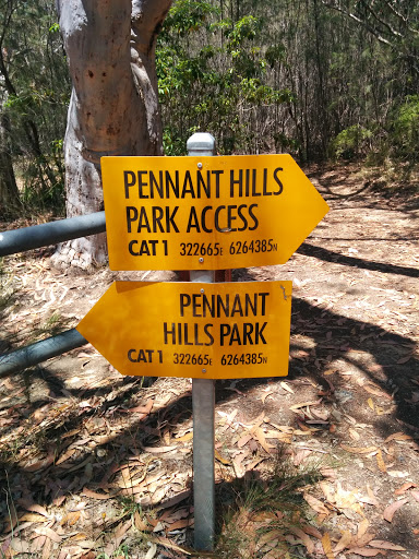 Pennant Hills Fire Trail