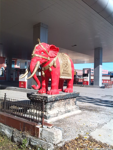 中石油加油站大象