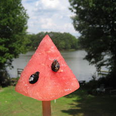 Watermelon Ice Slice