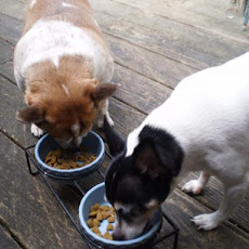Barky Burgers