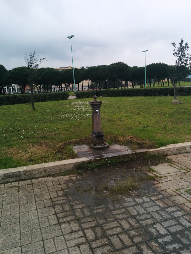 Fontana Rossetti