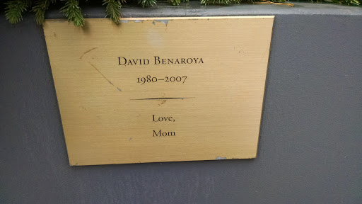 David Benaroya 1980 - 2007