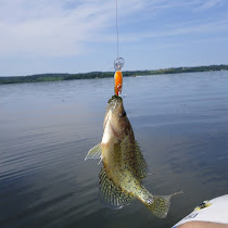 Rice Lake Fish