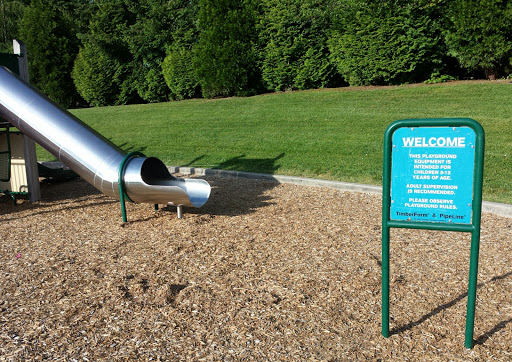 Hillside Park Slide