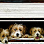 `we want out ...` by Boricic Goran - Animals - Dogs Portraits