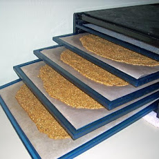 Raw Flax-Tomato Crackers  (Dehydrated)