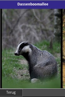 How to install Natuurmonumenten Bergherbos lastet apk for laptop